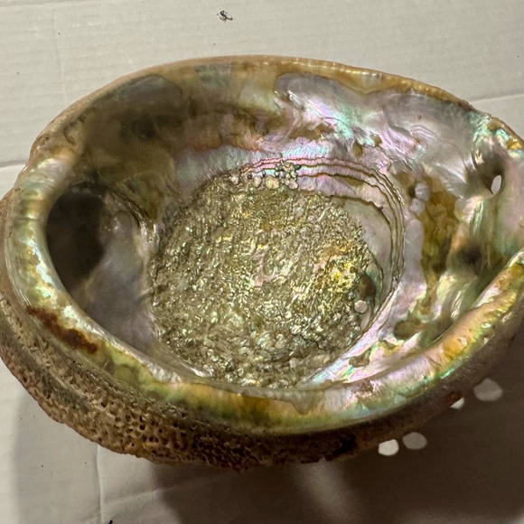 Iridescent Abalone Shell - Picture 4 of 8